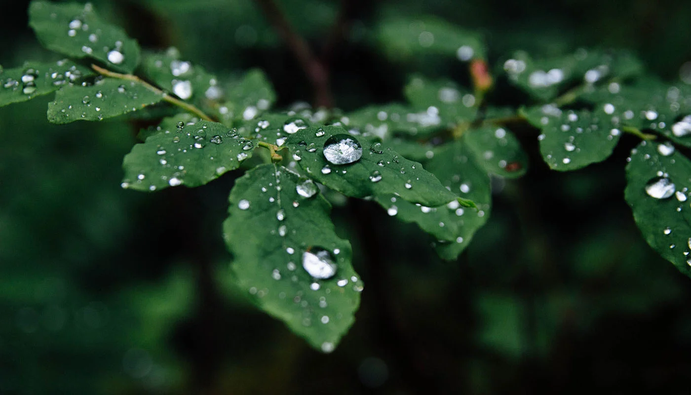 home-8-portoflio-img4